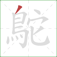 鴕的笔顺第1画：撇