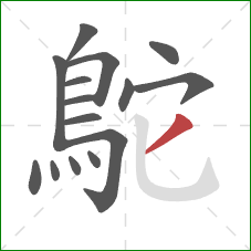 鴕的笔顺第15画：撇