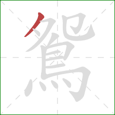 鴛的笔顺第1画：撇
