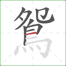 鴛的笔顺第10画：横