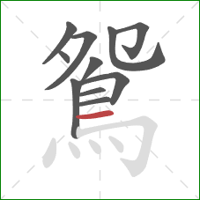 鴛的笔顺第11画：横