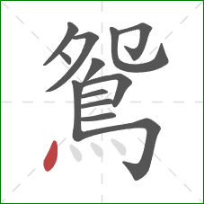 鴛的笔顺第13画：点