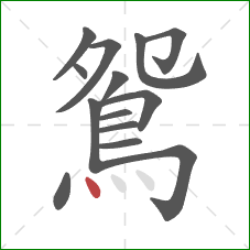 鴛的笔顺第14画：点
