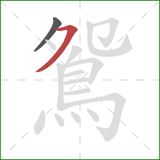 鴛的笔顺第2画：横撇