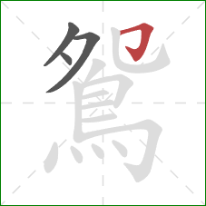鴛的笔顺第4画：横折钩