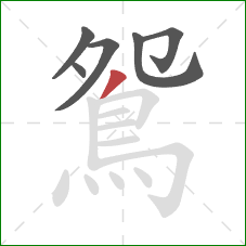 鴛的笔顺第6画：撇