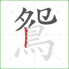 鴛的笔顺第7画：竖