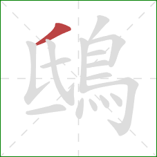 鴟的笔顺第1画：撇