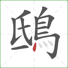 鴟的笔顺第13画：点