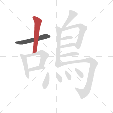 鴣的笔顺第2画：竖
