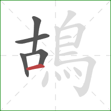 鴣的笔顺第5画：横