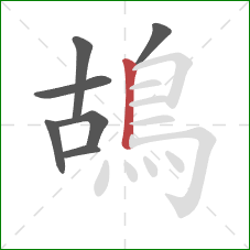 鴣的笔顺第7画：竖