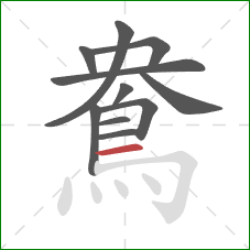 鴦的笔顺第11画：横