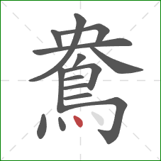鴦的笔顺第15画：点
