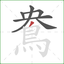 鴦的笔顺第6画：撇