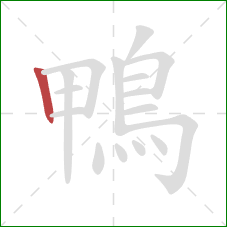 鴨的笔顺第1画：竖