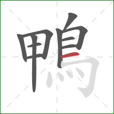 鴨的笔顺第11画：横