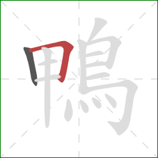 鴨的笔顺第2画：横折