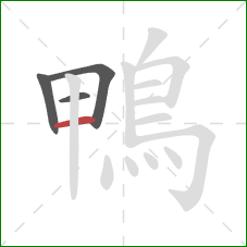 鴨的笔顺第4画：横
