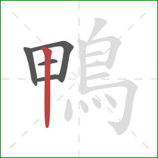 鴨的笔顺第5画：竖