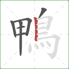 鴨的笔顺第7画：竖