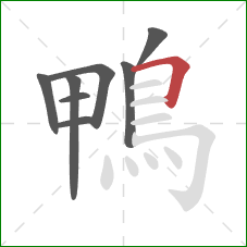 鴨的笔顺第8画：横折