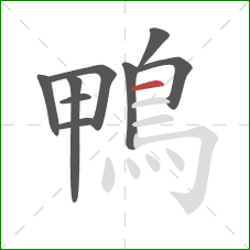 鴨的笔顺第9画：横