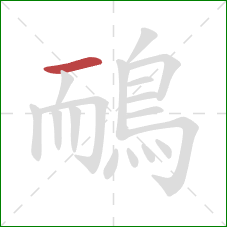 鴯的笔顺第1画：横