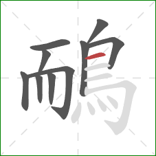 鴯的笔顺第10画：横