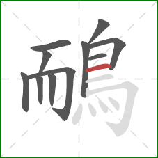 鴯的笔顺第11画：横