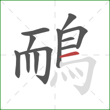 鴯的笔顺第12画：横