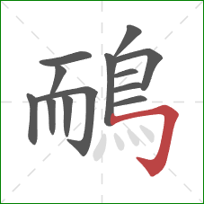 鴯的笔顺第13画：横折钩