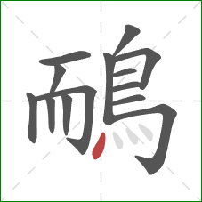 鴯的笔顺第14画：点