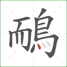 鴯的笔顺第15画：点