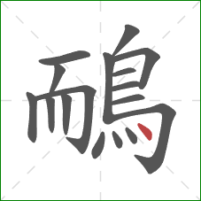 鴯的笔顺第17画：点