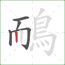 鴯的笔顺第5画：竖
