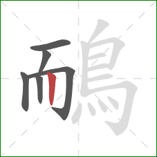 鴯的笔顺第6画：竖