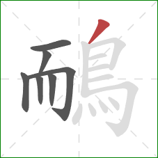 鴯的笔顺第7画：撇