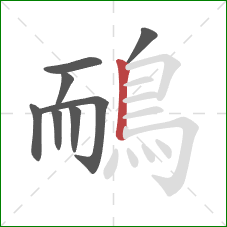 鴯的笔顺第8画：竖