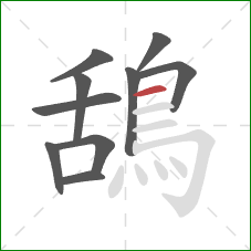 鴰的笔顺第10画：横