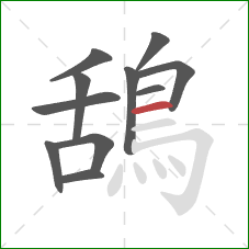 鴰的笔顺第11画：横