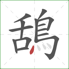 鴰的笔顺第14画：点