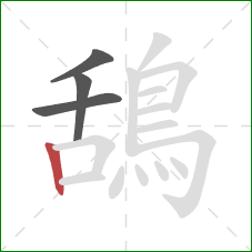 鴰的笔顺第4画：竖