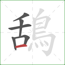 鴰的笔顺第6画：横