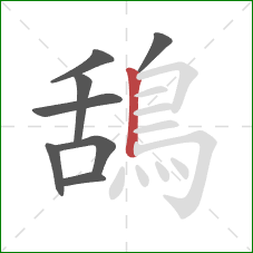 鴰的笔顺第8画：竖