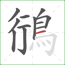 鴴的笔顺第12画：横