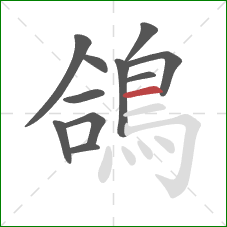 鴿的笔顺第11画：横