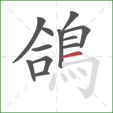 鴿的笔顺第12画：横