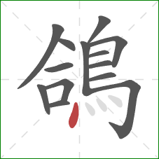 鴿的笔顺第14画：点