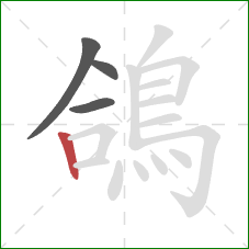 鴿的笔顺第4画：竖